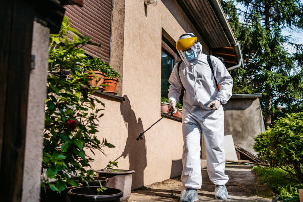 Flea Control Services in Lake View, AL