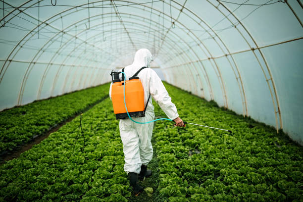 Best Local Pest Control Services  in Lake View, AL