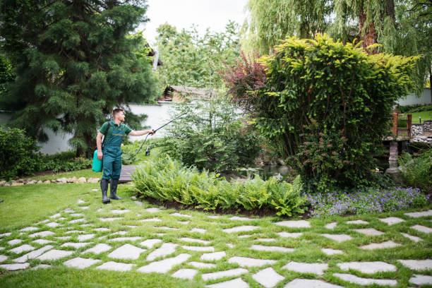 Best Best Pest Control Companies  in Lake View, AL