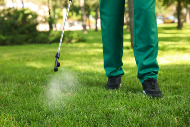 Best Best Pest Control Companies  in Lake View, AL