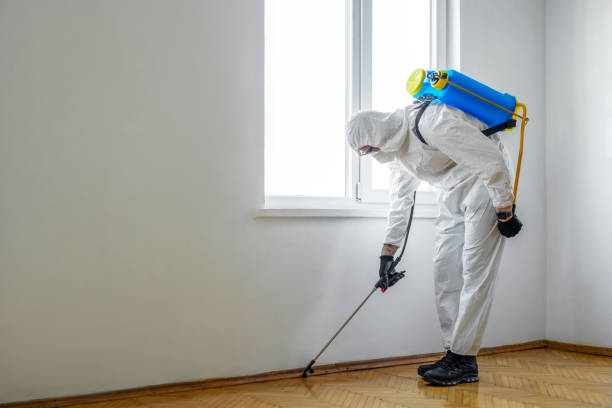 Best Pest Prevention Services  in Lake View, AL
