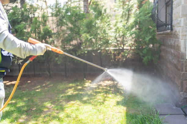Best Mosquito Control Services  in Lake View, AL