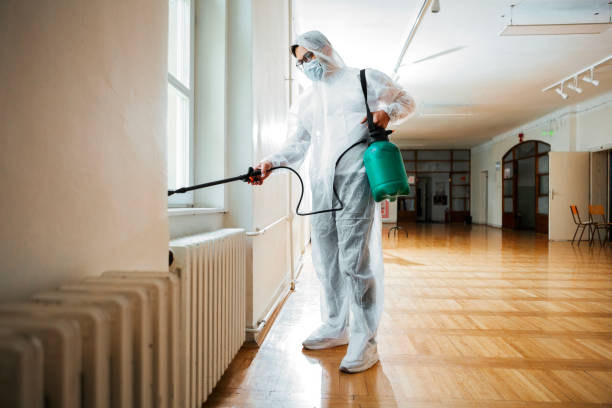 Best Flea Control Services  in Lake View, AL