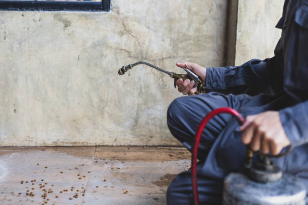 Best Exterminator Services  in Lake View, AL